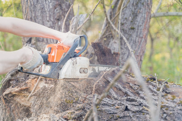 Similar image 22028747