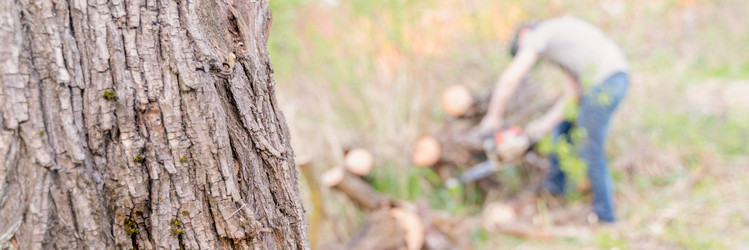 Similar image 22028749