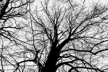 Similar image 22028750