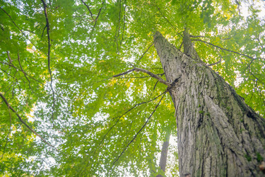 Similar image 22028752