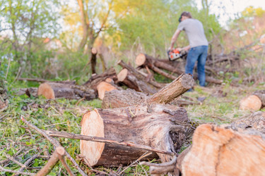 Similar image 22028753