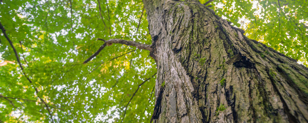 Similar image 22028754