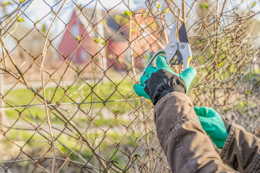 Similar image 22028755