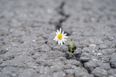 Similar image 22028757