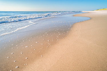 Similar image 22028759