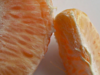 Similar image 22032724