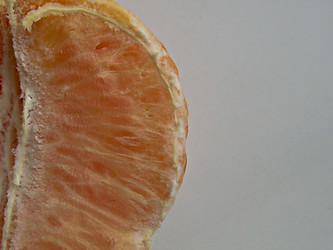 Similar image 22032730