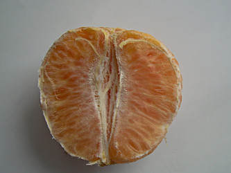 Similar image 22032731