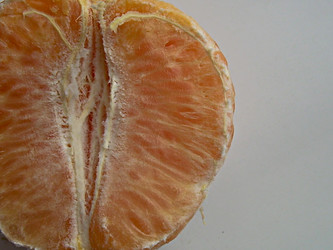 Similar image 22032733