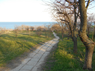 Similar image 22028551