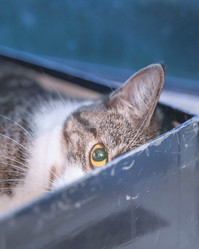 Similar image 22028768