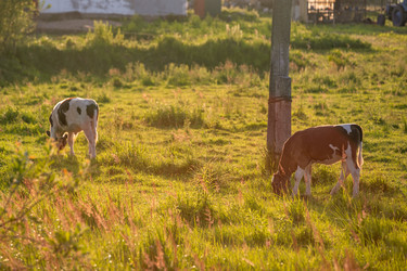 Similar image 22028771