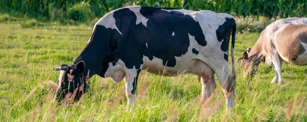 Similar image 22028772