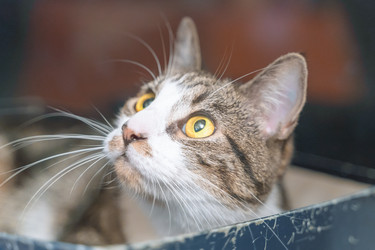 Similar image 22028773