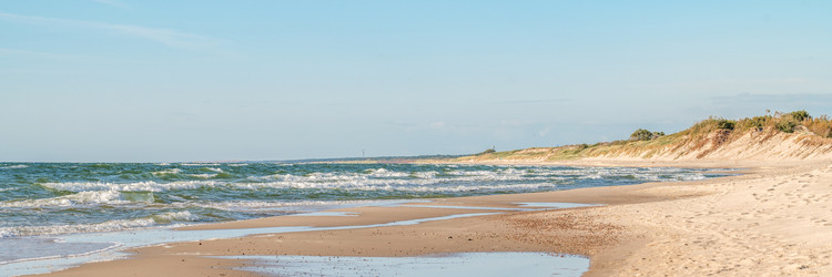 Similar image 22028779