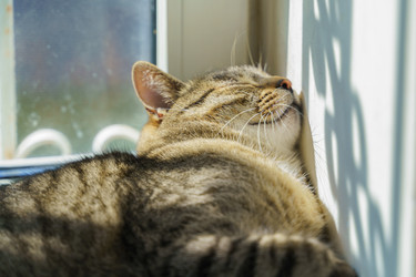 Similar image 22028789