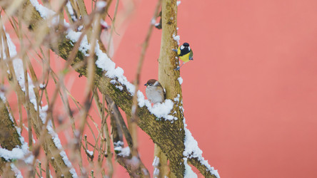 Similar image 22028792