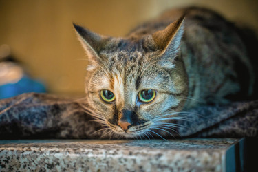 Similar image 22028800