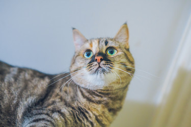 Similar image 22028802