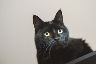 Similar image 22028804