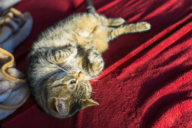 Similar image 22028808