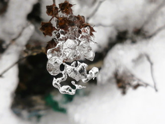 Similar image 22028554