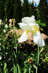 Similar image 22037934