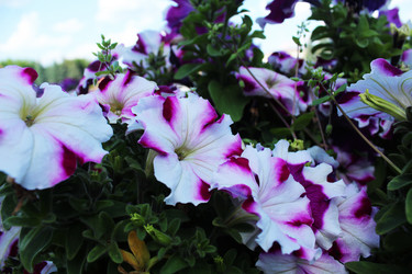 Similar image 22037937