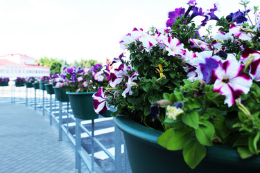 Similar image 22037938