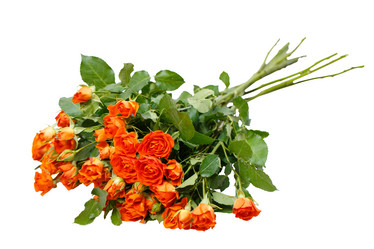 Similar image 22028574