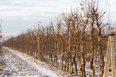 Similar image 22028576