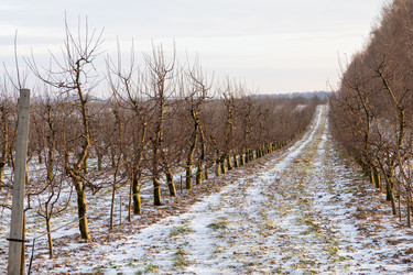 Similar image 22028577