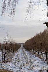 Similar image 22028578