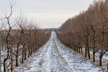 Similar image 22028579