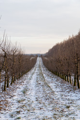 Similar image 22028580