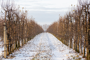 Similar image 22028581