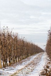 Similar image 22028583