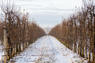 Similar image 22028584