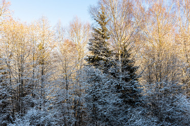 Similar image 22028878