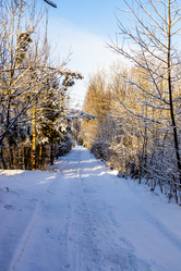 Similar image 22028880