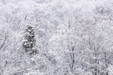 Similar image 22028881