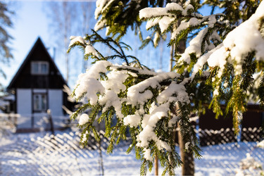 Similar image 22028885