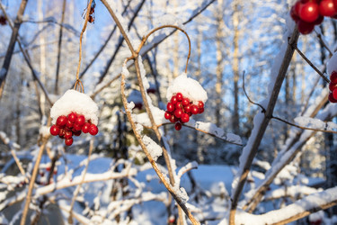 Similar image 22028886