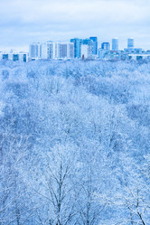 Similar image 22029155