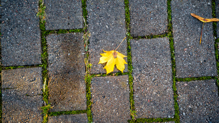 Similar image 22028899