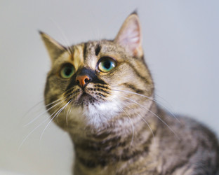 Similar image 22028903