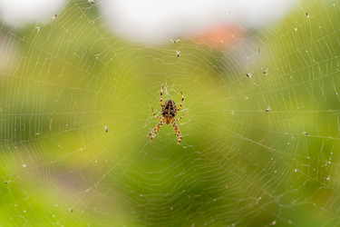 Similar image 22028924