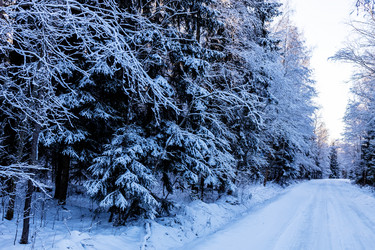 Similar image 22028940