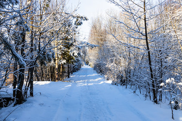 Similar image 22028942