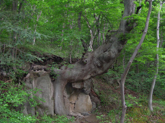 Similar image 22028670